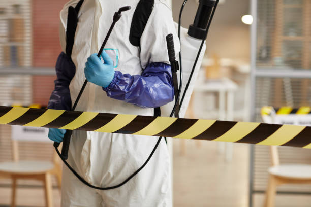 Professional Sewage Cleanup technician working in Foristell, MO